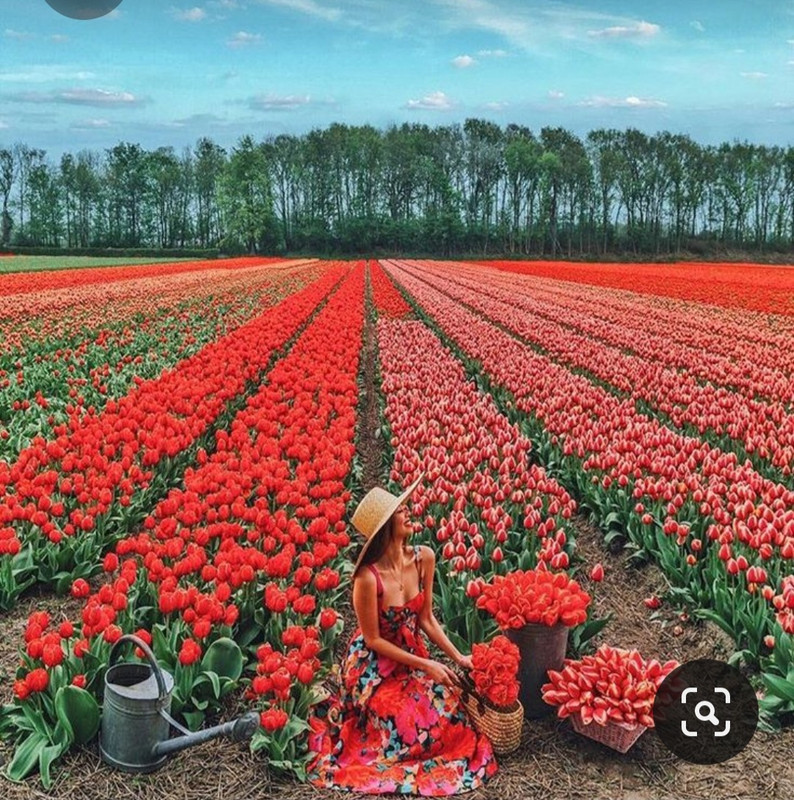 Screenshot_20230527_222140_Pinterest