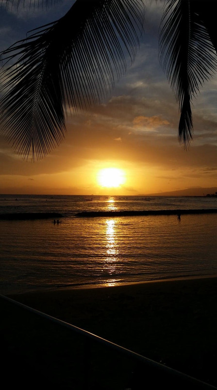 2DE1D5B5-626E-40FA-9819-1CDC3D7F8FF2