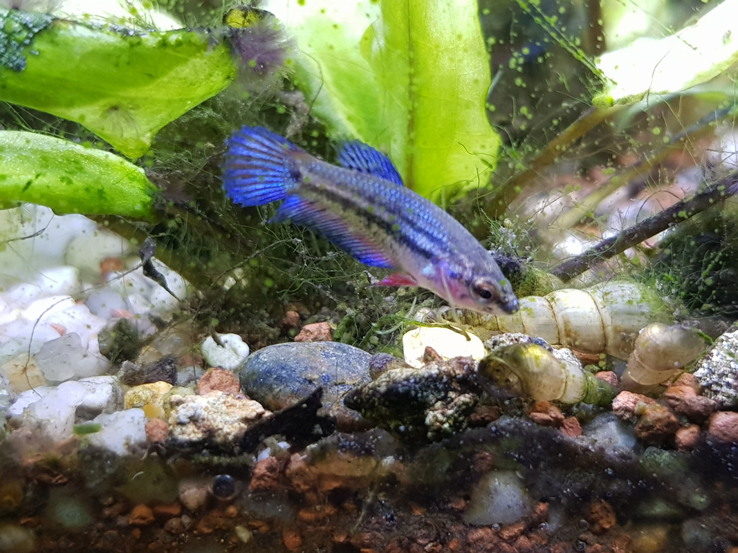 00C59CCF-A889-4642-A53A-3C9663CA1744