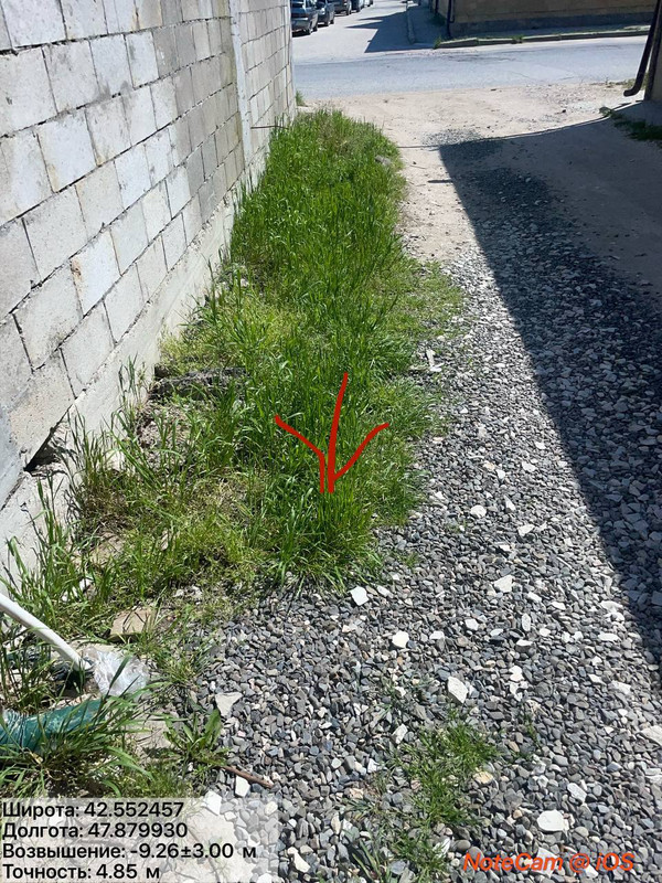 IMG 0023
