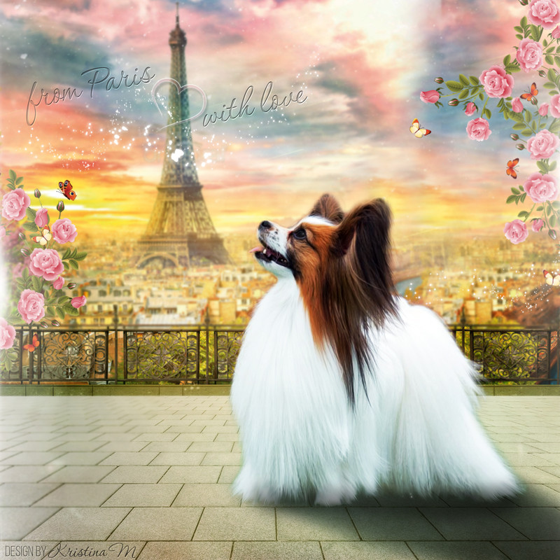 Открытка пап1