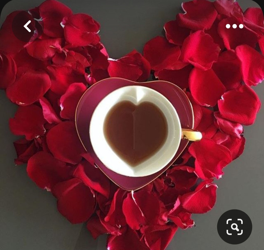 Screenshot_20230731_233010_Pinterest