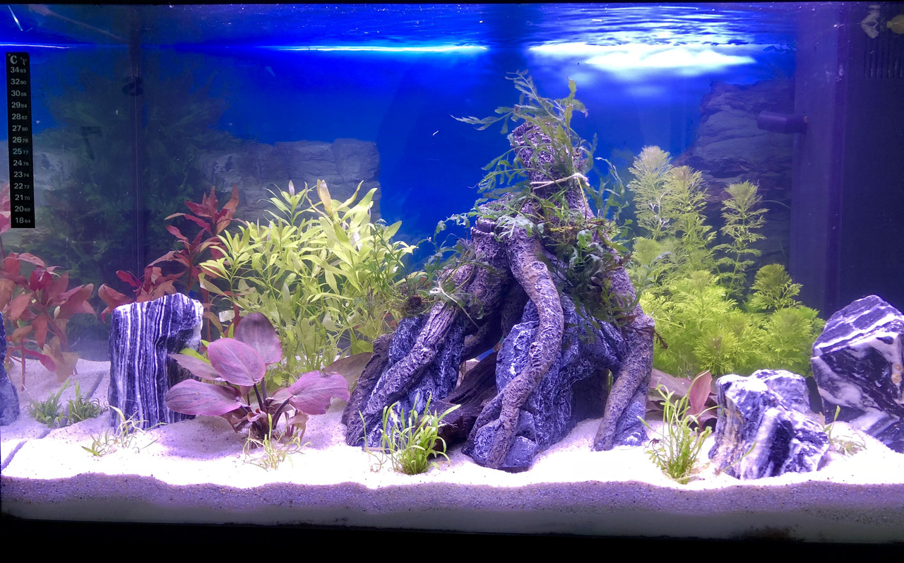 930282CC-3E75-4676-AE36-EDBA06E573AF