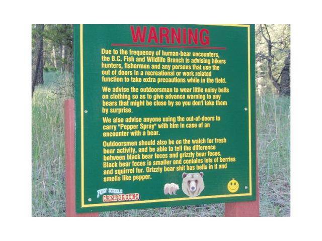 bearscat-sign.jpg