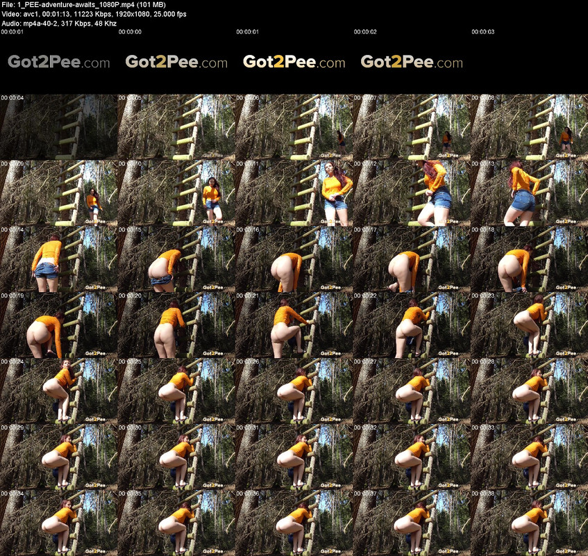 1_PEE-adventure-awaits_1080P