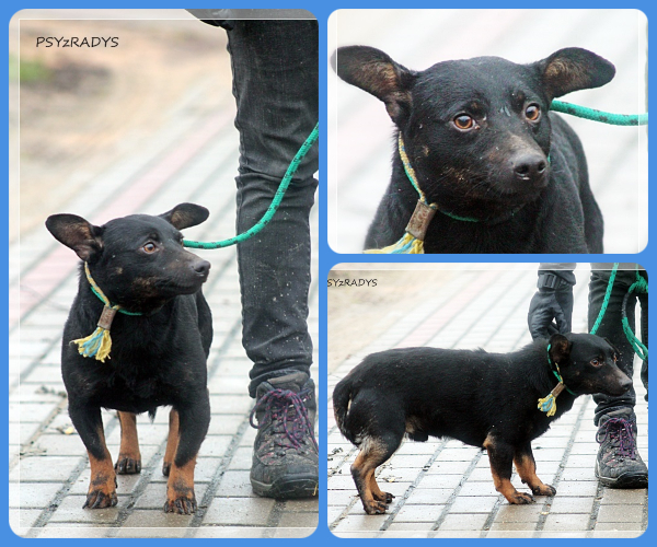 BeFunky-collage (19)