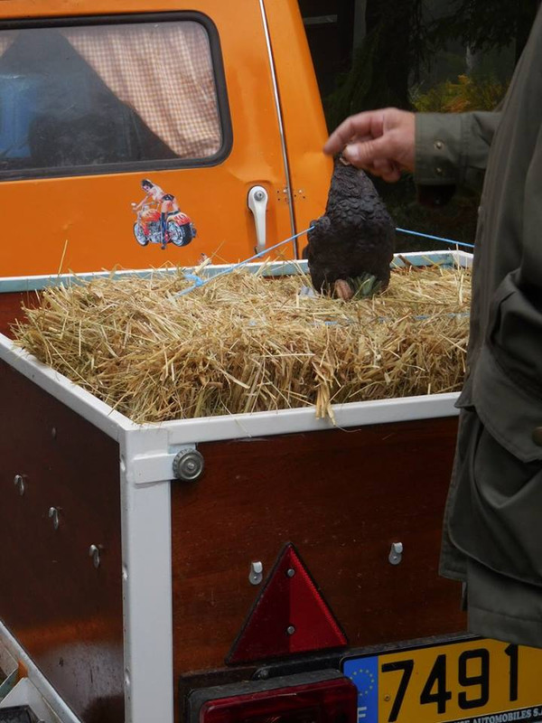 11148338_830944833693275_3936522224016099513_n