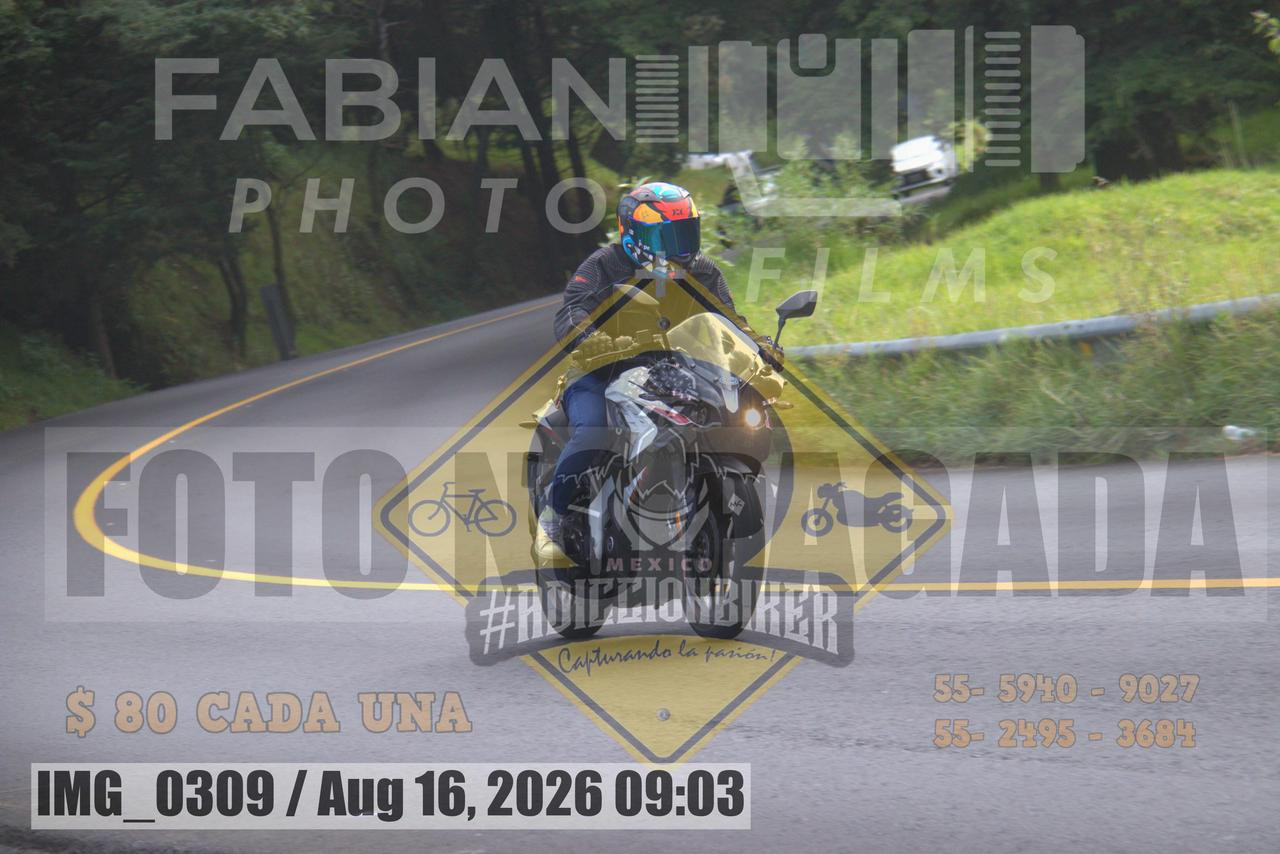 IMG 0309