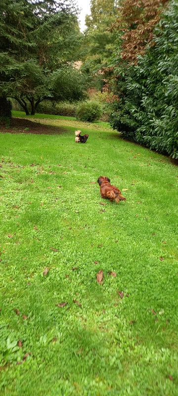 [Image: Whats-App-Image-2024-10-07-17-38-04-e8d07220.jpg]