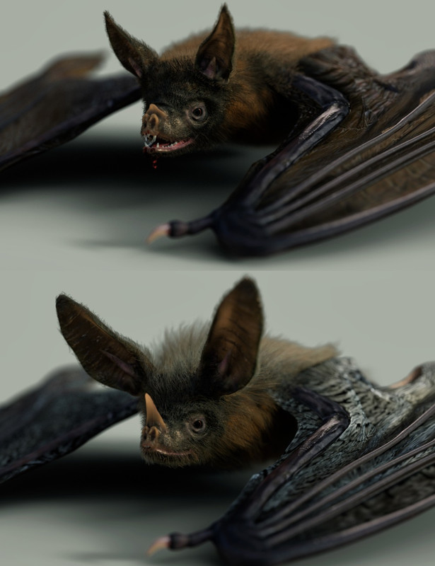 Vampire Bat by AM Vampire Bat by AM