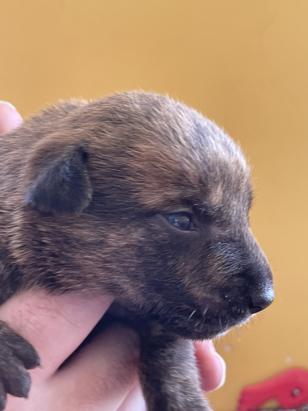 409ABA20-AEDD-45BC-9AF9-AE3B79800A09