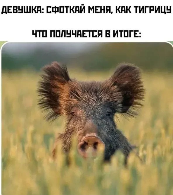 [Изображение: photo-2025-12-10-04-18-29.jpg]