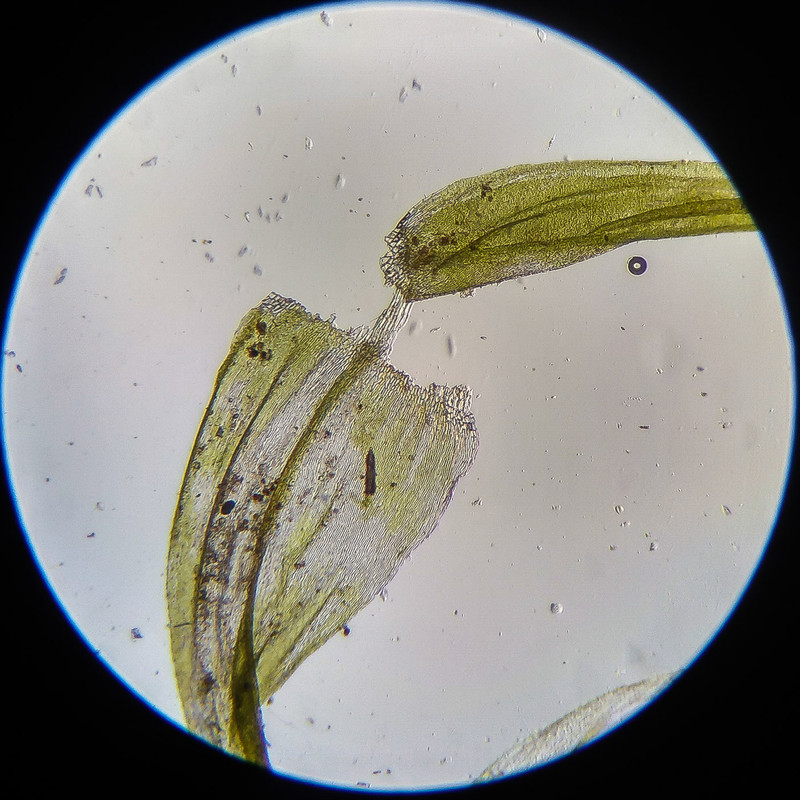 IMG 20250614 122541 HDR