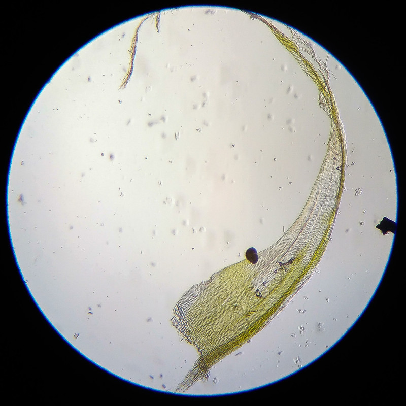 IMG 20250614 122501 HDR