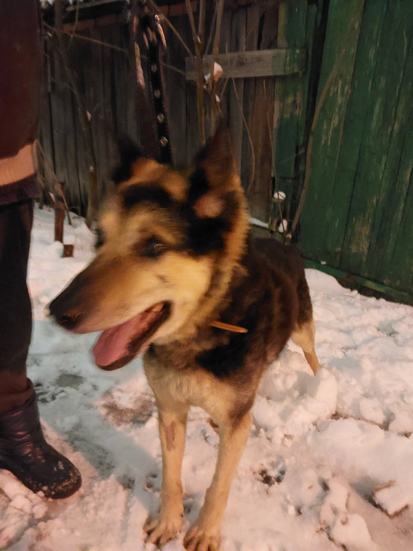 изображение_viber_2024-02-20_23-14-18-667