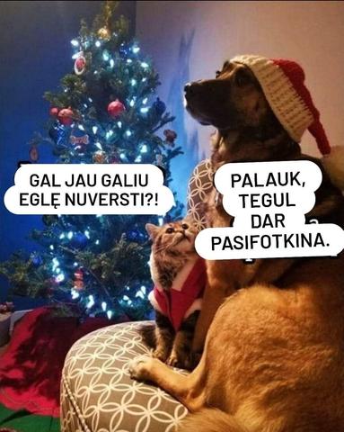Paveikslėlis