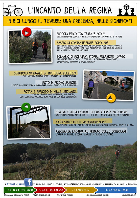 015 incanto regina trc