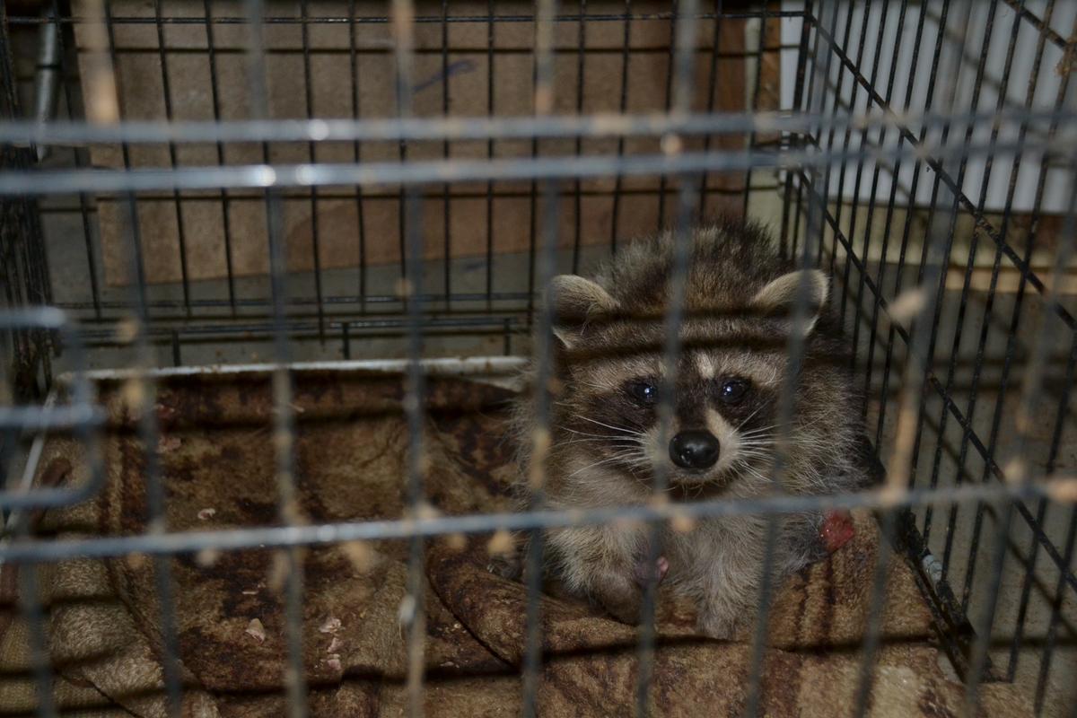 A77E2810-2A65-4FD1-9968-1E9AEE3E4217