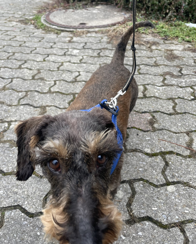 [Image: IMG-5972.jpg]