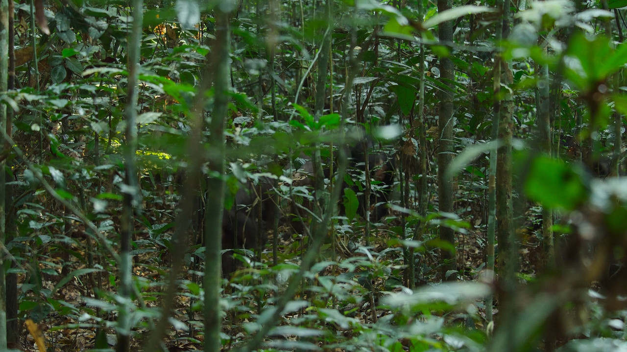 Queens  S01E02 Disney  1080p WEB DDP x264-NM21vi.mkv_snapshot_11.49.292