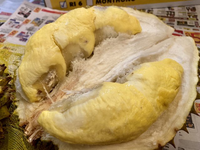 [Image: 8-D6-FE8-A2-60-D2-4346-BF0-E-427-D95940-F9-D.jpg]