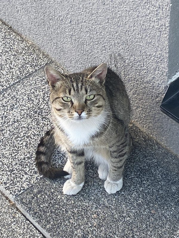 00FA8002-0123-40CD-89CF-DEF4F373745C