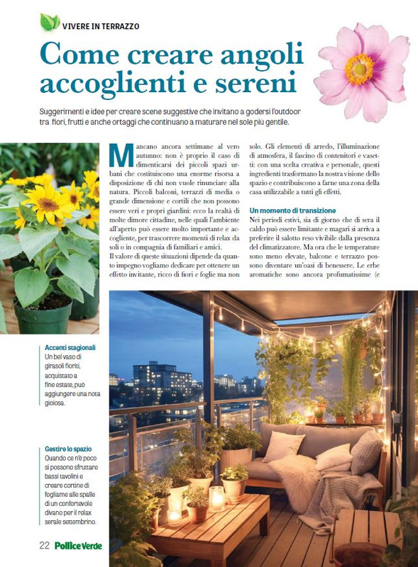 Pol Ver Set 2024 (3)