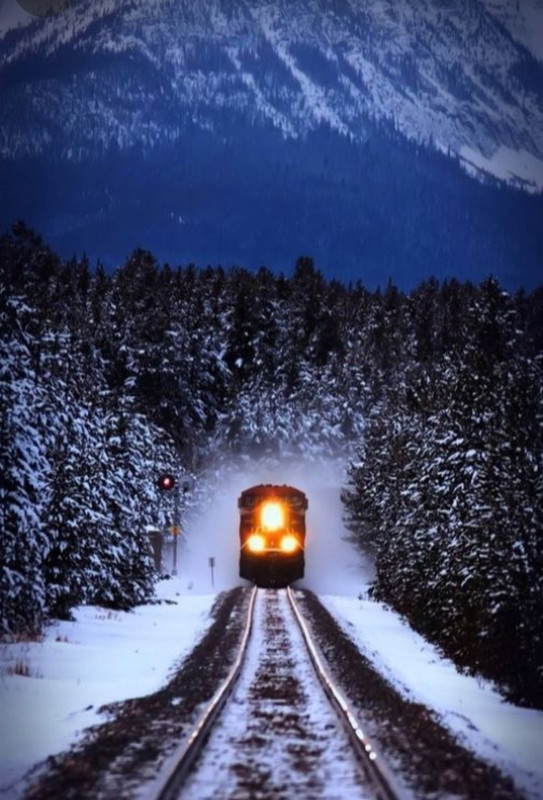 Screenshot_20231213_225202_Pinterest