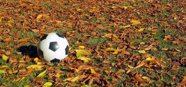 fall-soccer1