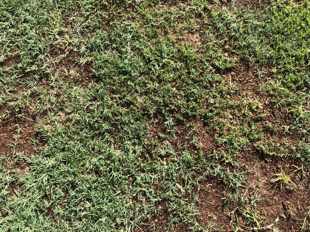 77FD7BBF-EEB3-4AD3-84D1-974CA774AB65