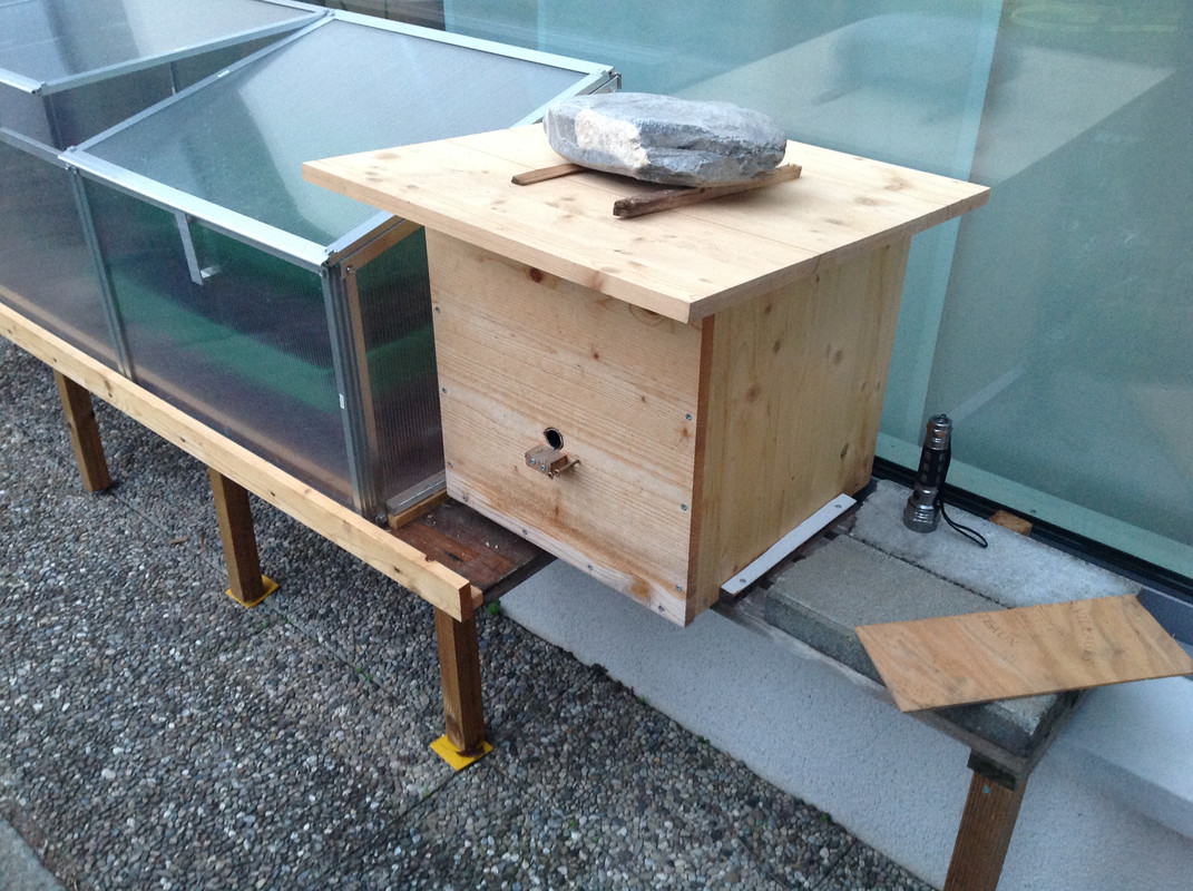 Kleine Erdhummel 3.04.16 (5)