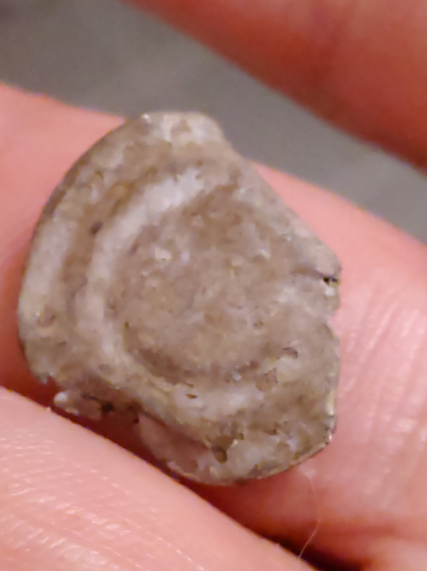 00001IMG_00001_BURST20210418105750