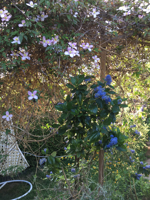 F06FF0CB-11EC-49A0-9319-0E2218B51E21