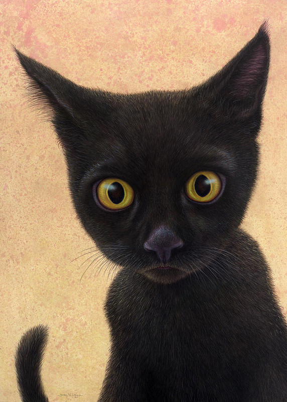 little-black-cat-james-w-johnson