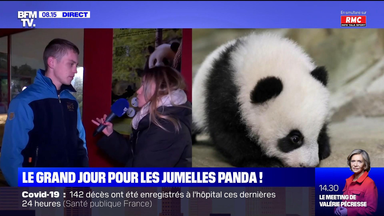 12.11 - 05.00.00 - Week-end première. L'émission propose un tour d'ho..._001.ts_snapshot_00.53.04_[2