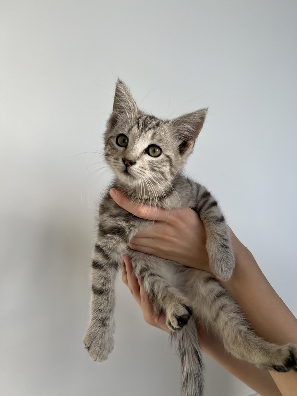 725E837D-5C9F-4A57-86A6-304543E58CD3