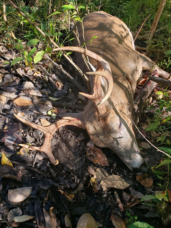 18DBD94E-F160-40D6-B250-B55CB5AA4AAE