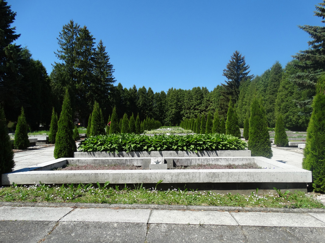 170 - DSC01450 (Lolo)