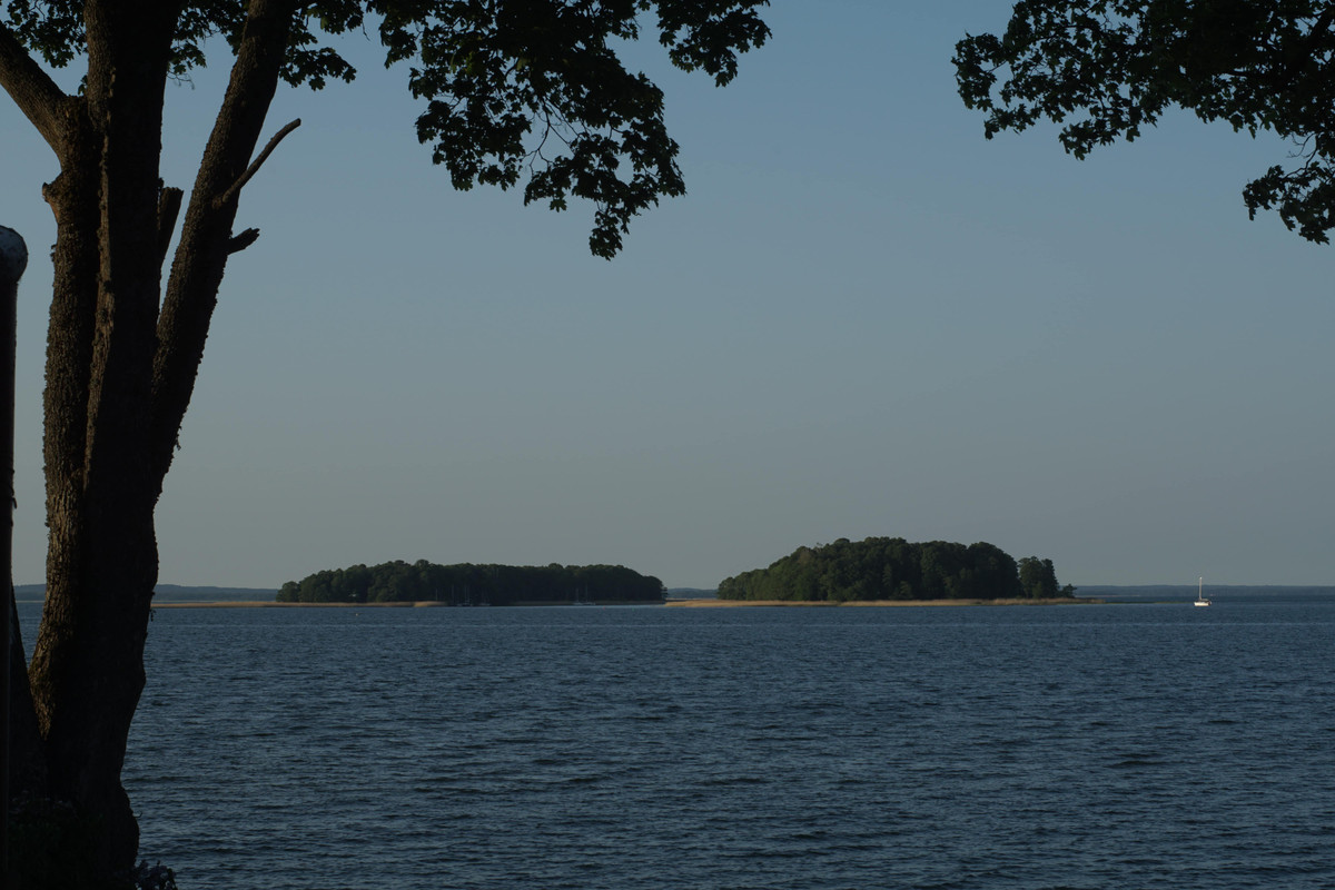 001 - 20160526073252_DSC01609 (zbychowiec)