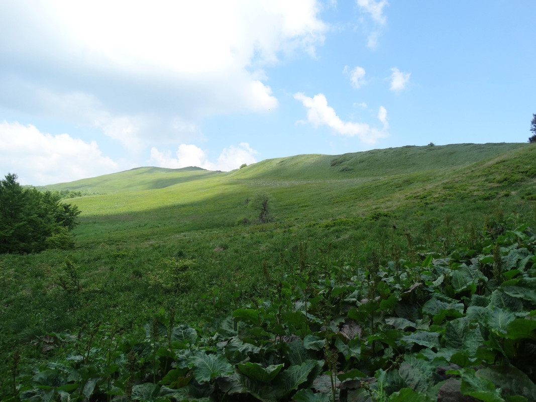 027 - DSC00827 (Ace79)