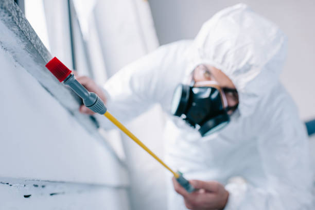 pest control Tampa