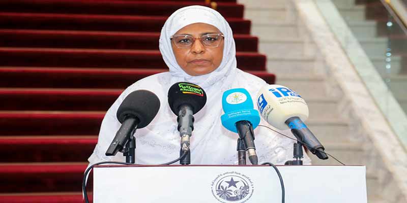 Mauritanie : le nouveau gouvernement d'El Moctar Ould Djay dévoilé Mauritanie : le nouveau gouvernement d'El Moctar Ould Djay dévoilé