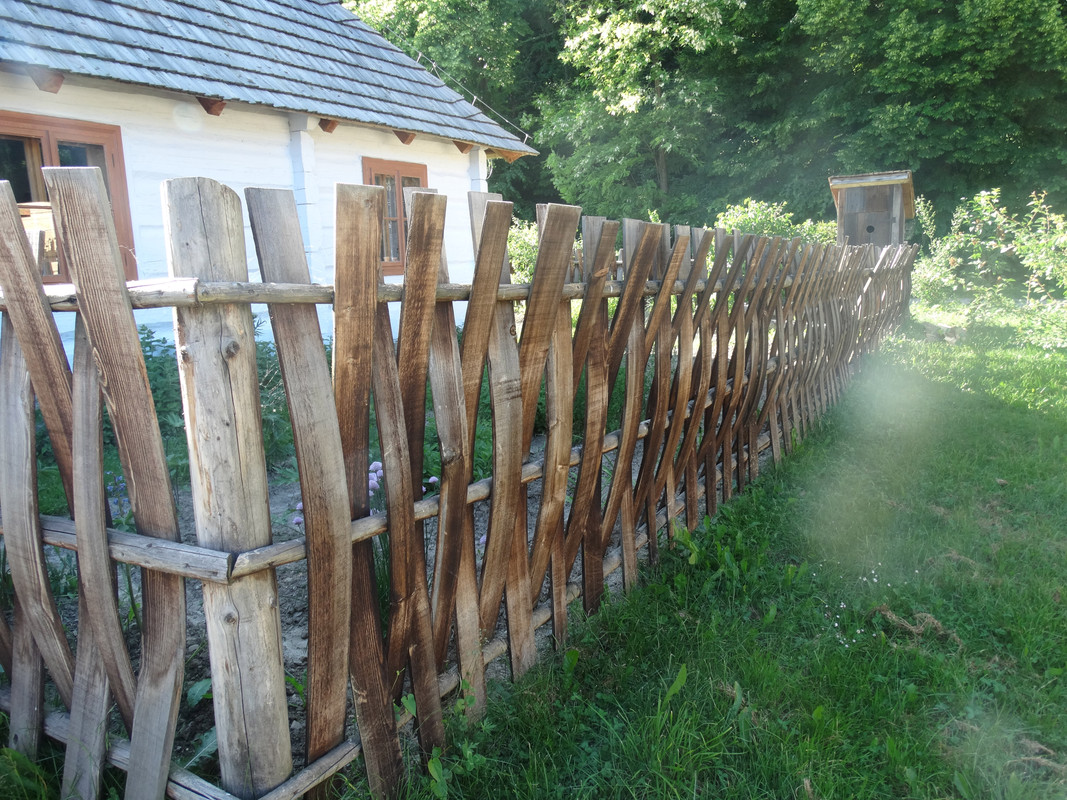 126 - DSC01299 (Milady)