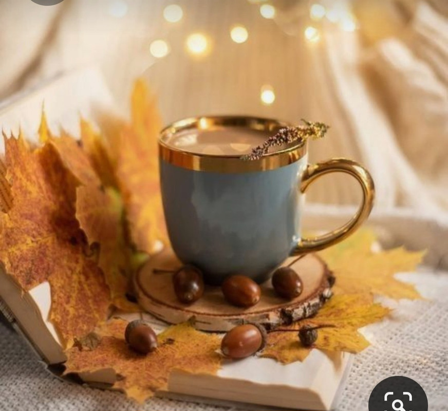 Screenshot_20231008_212447_Pinterest