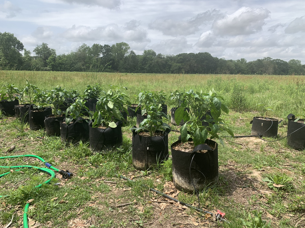 66093CC6-10F9-4DD2-85E0-6A13F658B2BE