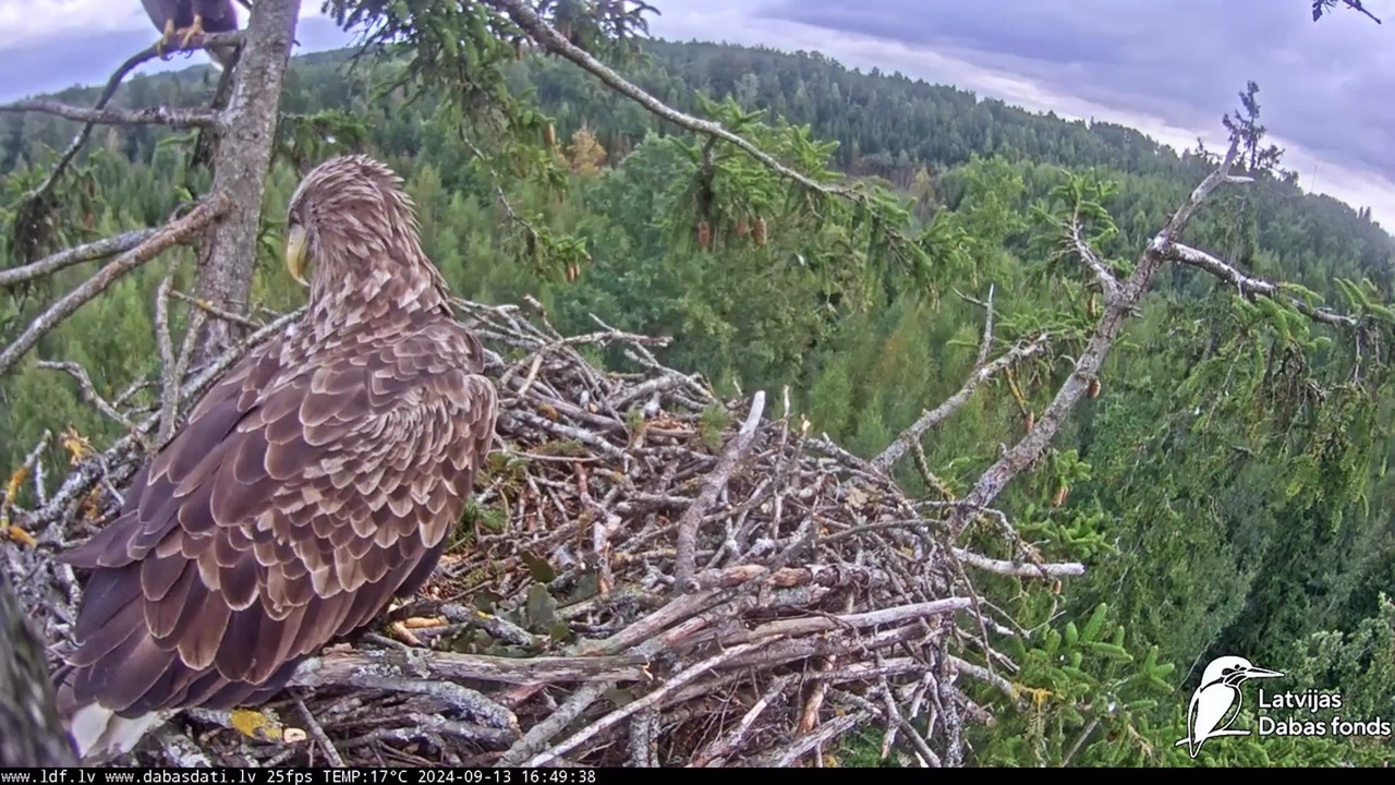 vlcsnap-2024-09-14-04h56m40s888