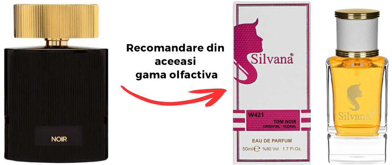 Parfum Silvana Tom NoirTom Ford Noir Pour Femme