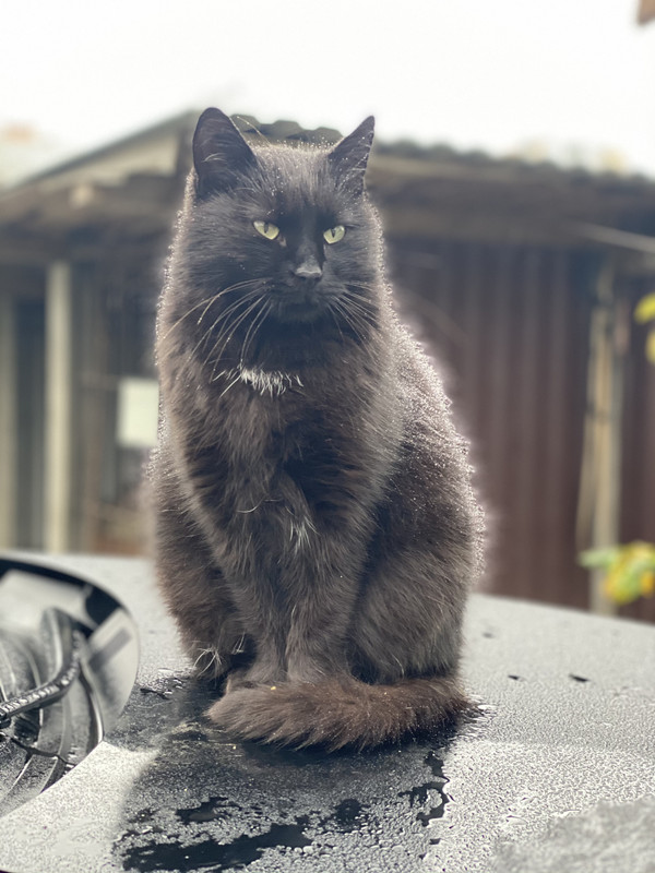 228D8B64-2C0F-4F3B-AA3B-7EC54AAAC6F2