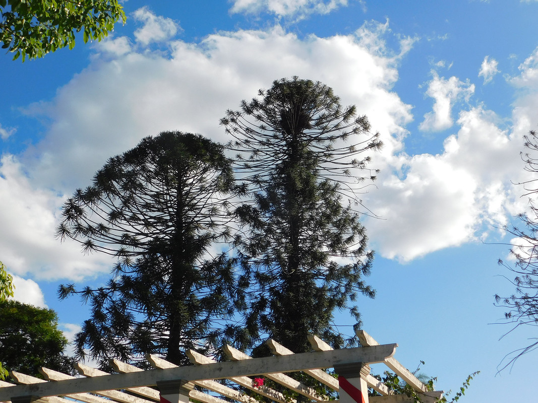 DSCN0102.jpg