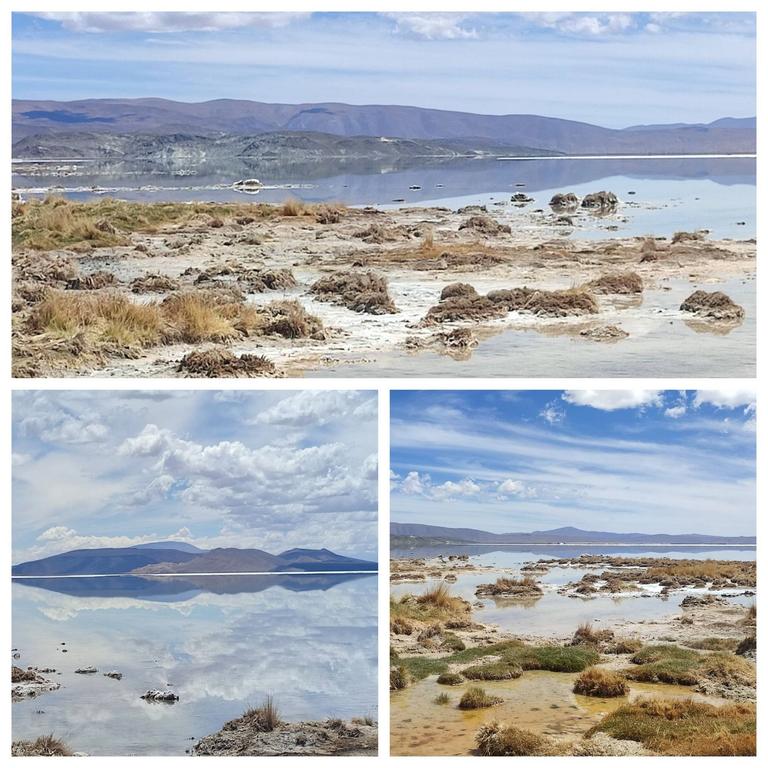 SALAR DEL HOMBRE MUERTO. MINA INCAHUASI - ARGENTINA INFINITA II/ TORRES DEL PAINE (9)